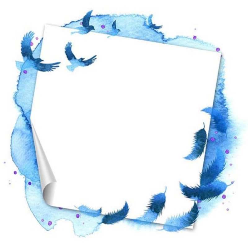 Открытка Перья цветы и рамочка акварелью  красивые птицы летят  Туған күнің құтты болсын 